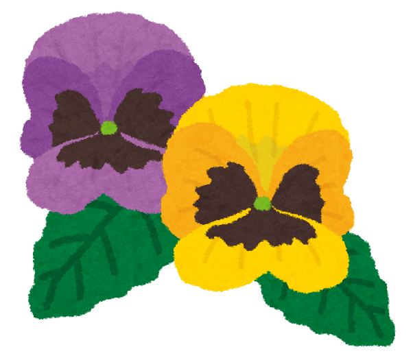 flower_pansy