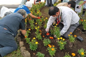 花植え