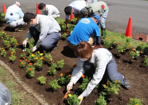 花植え